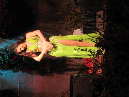 7. Valentinov koncert 2013 27